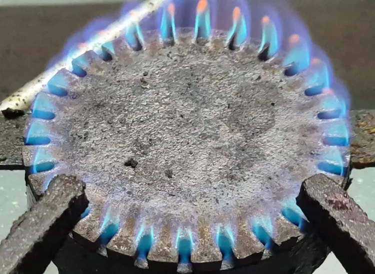 Restaurant Oktoberfest, Gäste